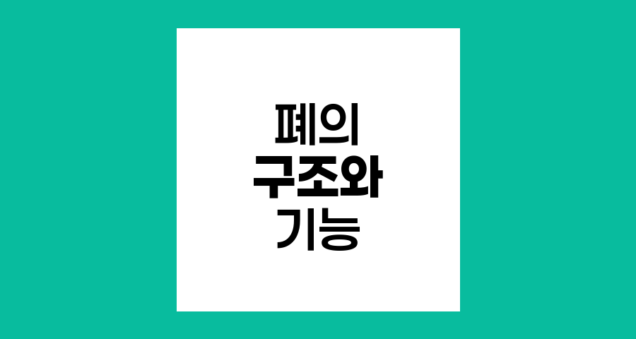 폐의 구조와 기능 심층 탐구