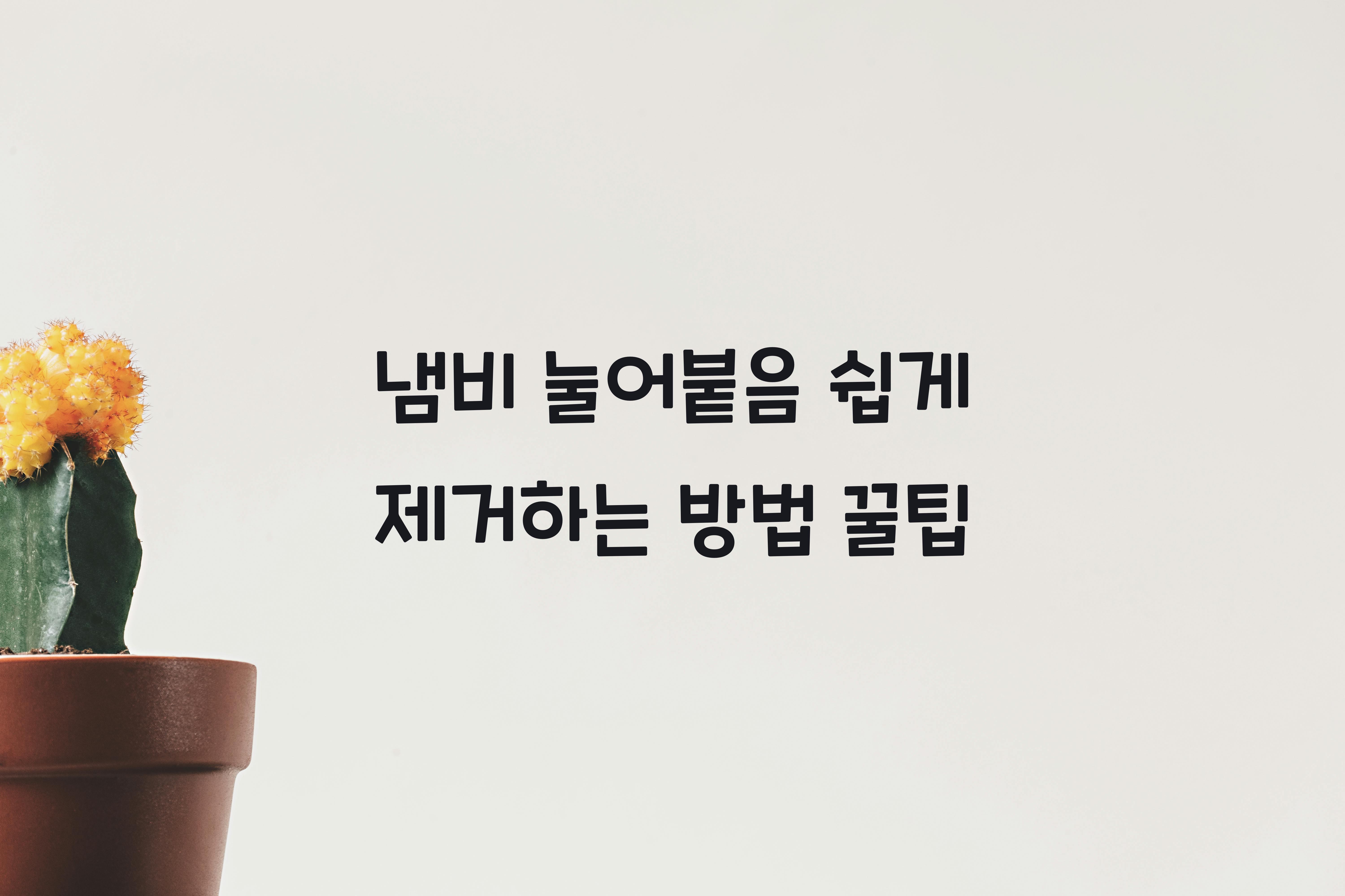 냄비 눌어붙음 쉽게 제거하는 방법