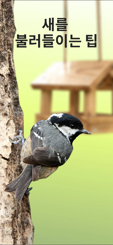 피처 버드(Picture Bird), 새종류이름 찾기, 조류이름 찾기 어플