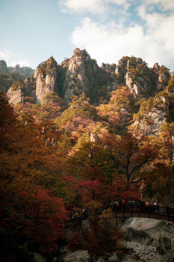 가을 단풍으로 물든 한국의 산악 풍경, 기암괴석과 붉은 단풍나무들 사이로 관광객들이 목재 다리에서 단풍구경을 하고 있는 모습