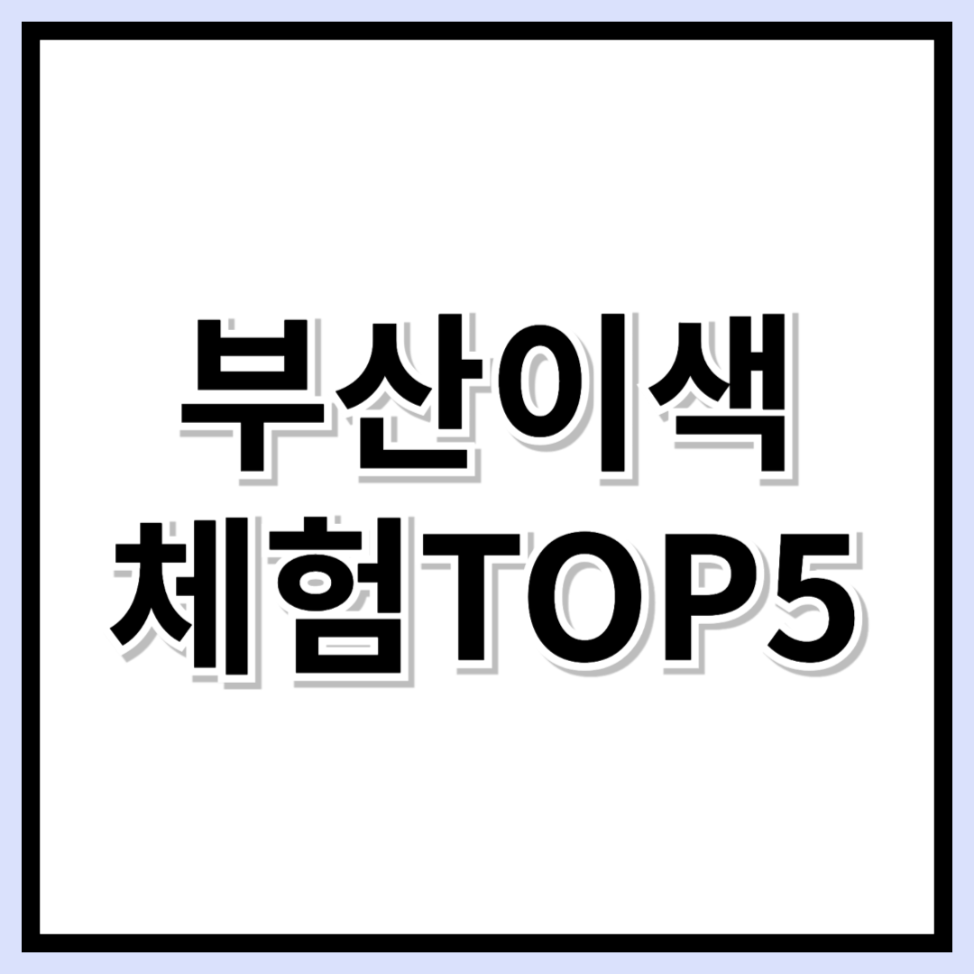 부산에서만 가능한 이색 체험 BEST 5