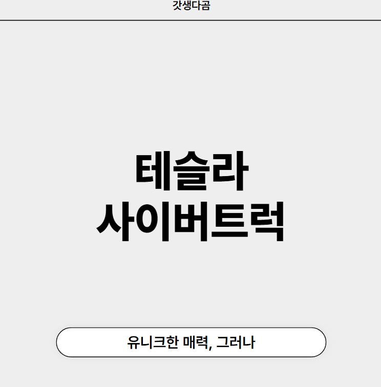 테슬라 사이버트럭 지드래곤