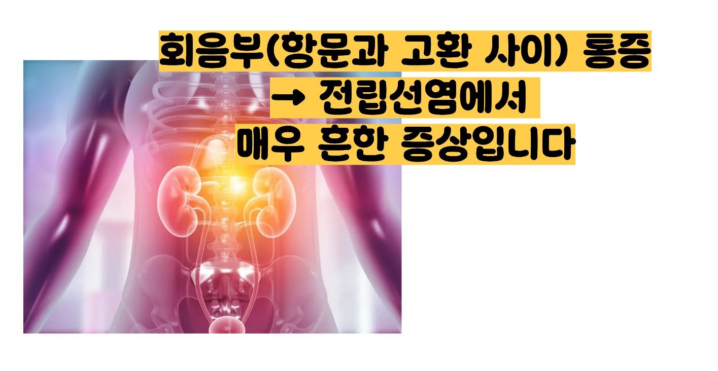 전립선염 증상