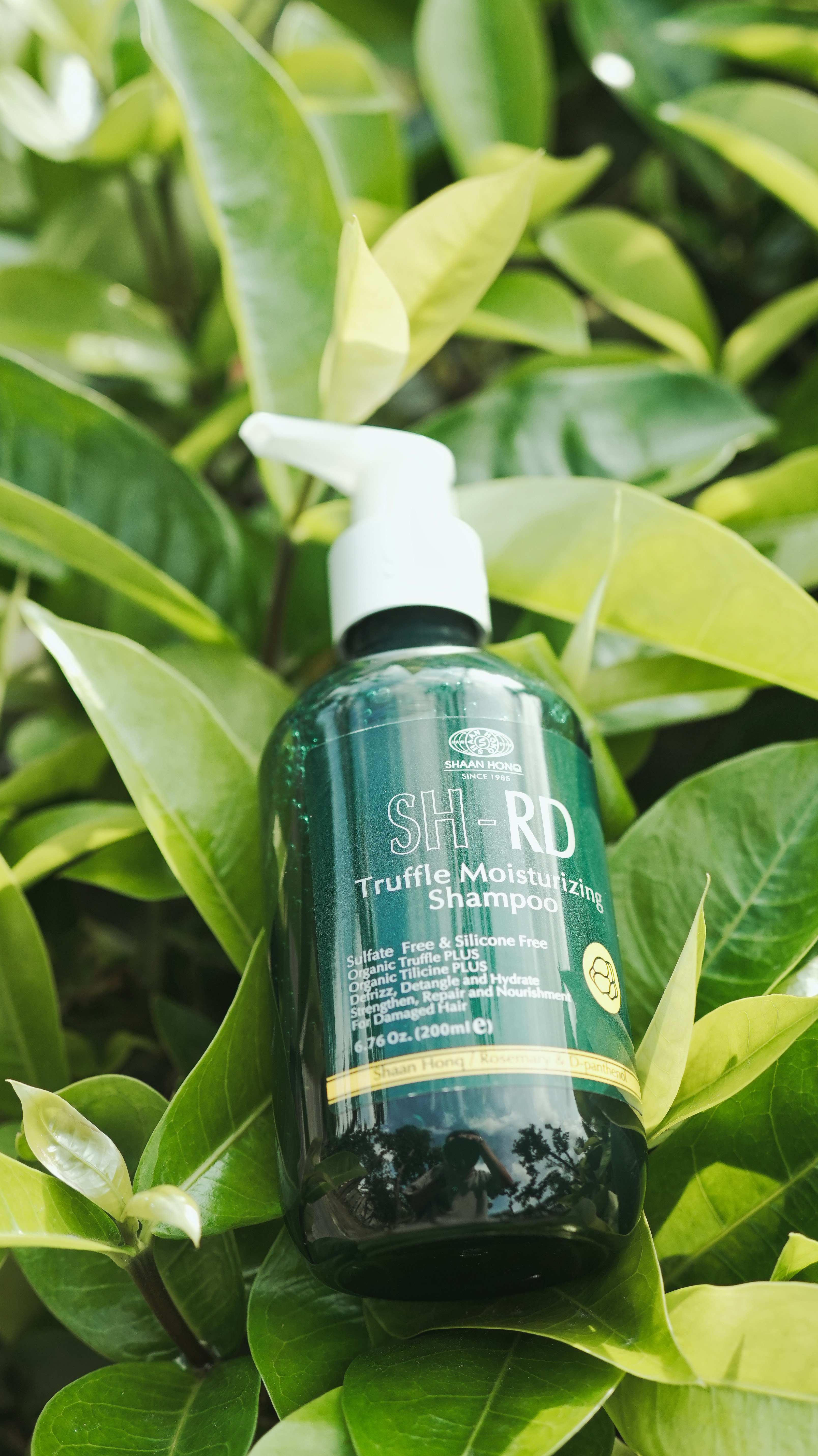 탈모 치료 비용