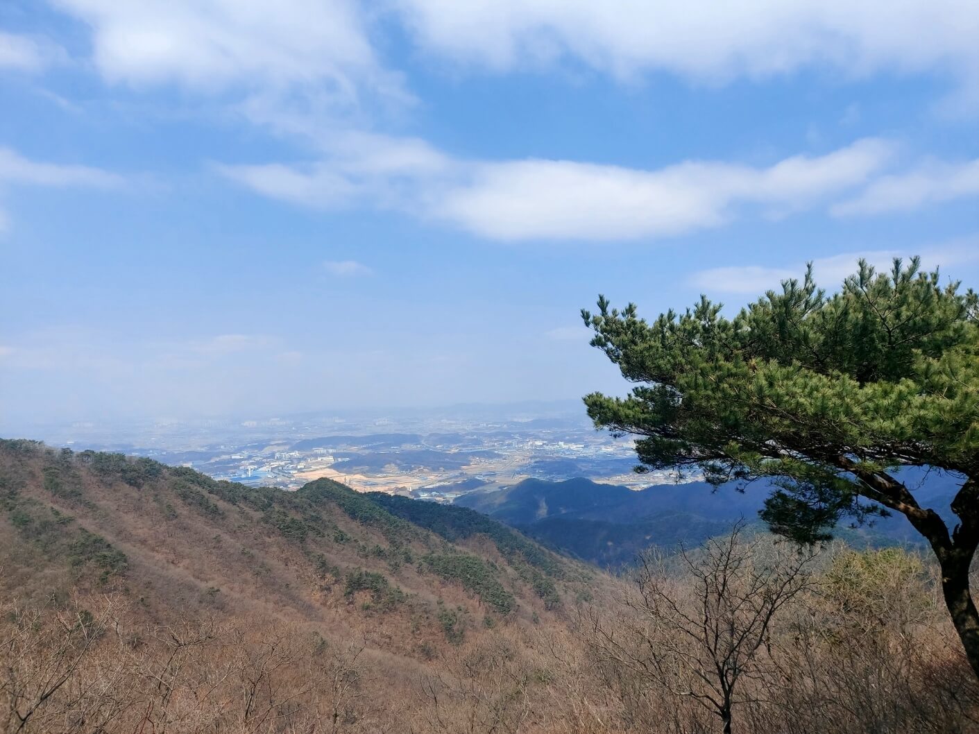 소상공인 카드수수료 지원금 신청방법 [안성시편]