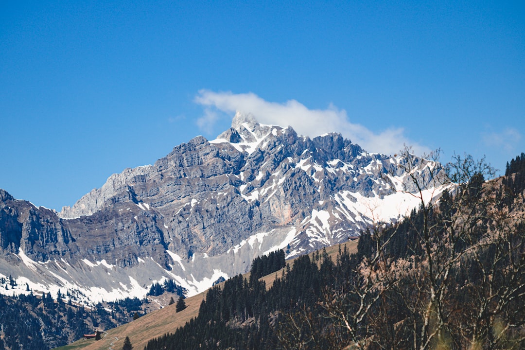 Alpenroute