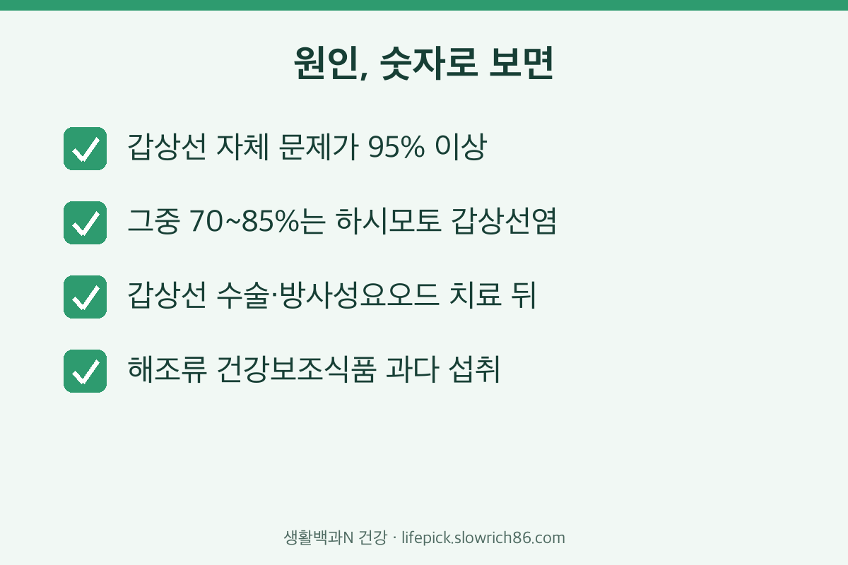 갑상선 기능 저하증 원인 일차성 95% 하시모토 갑상선염