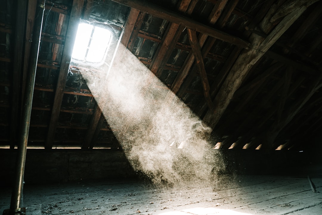 Dust