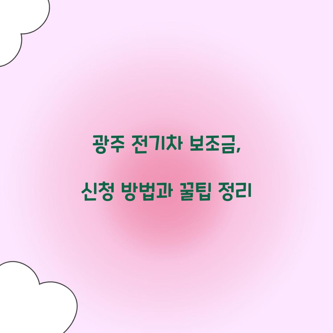 광주 전기차 보조금