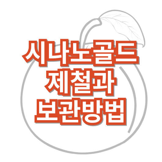 시나노-골드-황금-노란-사과-보관-방법