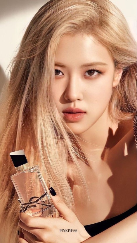 로제 사진