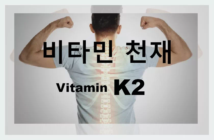 비타민k2