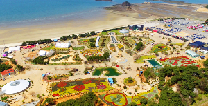 태안 튤립 축제 실시간 개화 상황