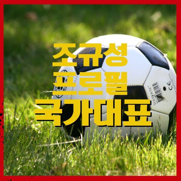 조규성프로필