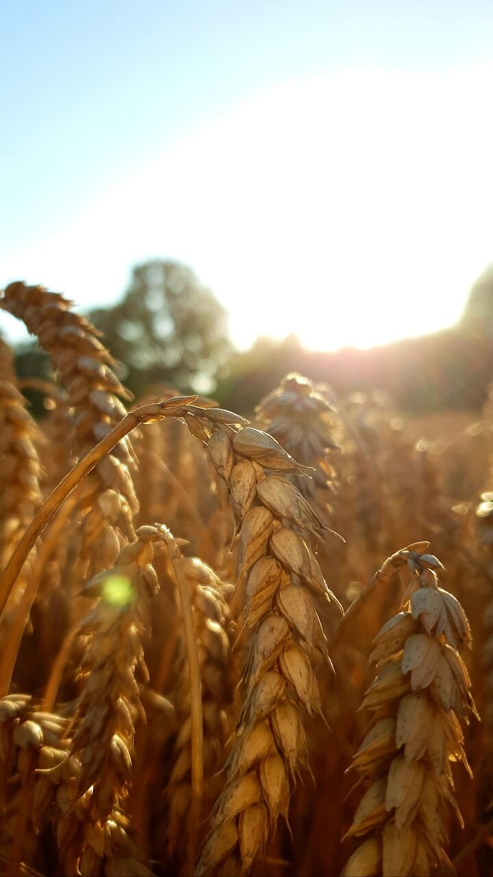 농어민 및 귀농귀촌 지원금, 지급기간 지급방법1