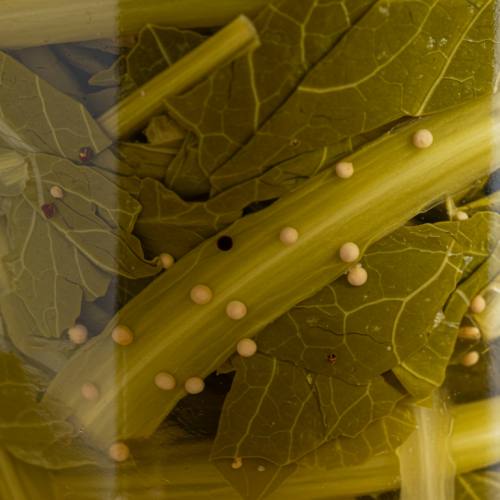 머위 장아찌 사진