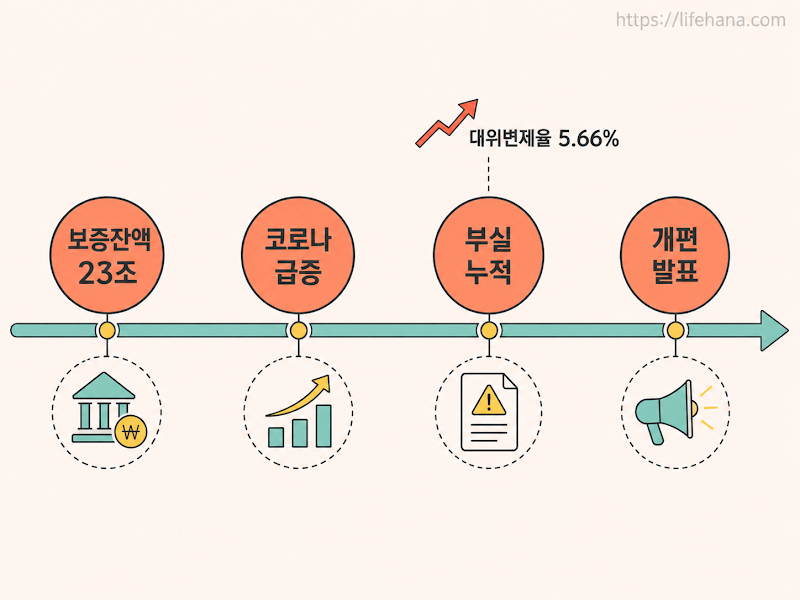 보증비율 구조 변화와 부실채권 상각 로드맵을 한눈에 보여주는 금융 정책 인포그래픽