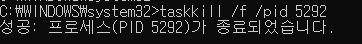 프로세스 종료 성공