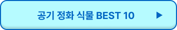 식물 공기 정화 효과