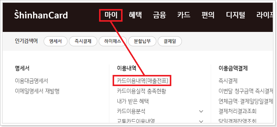 신한카드-카드이용내역-진입-화면