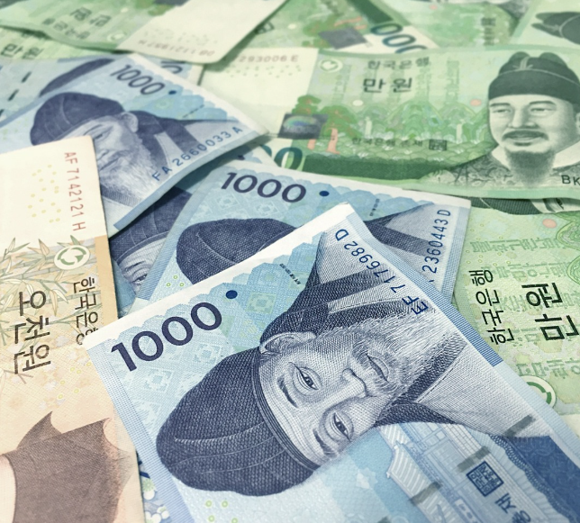 환급신고