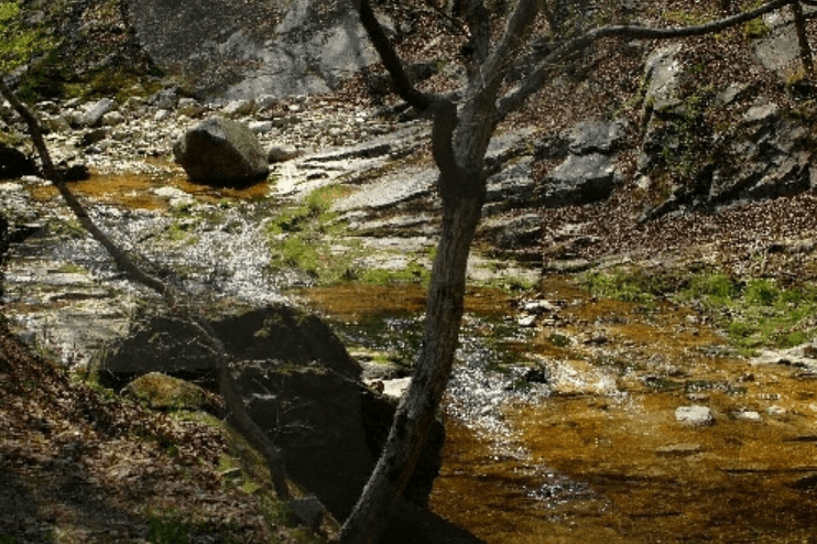 공주시 동학사계곡