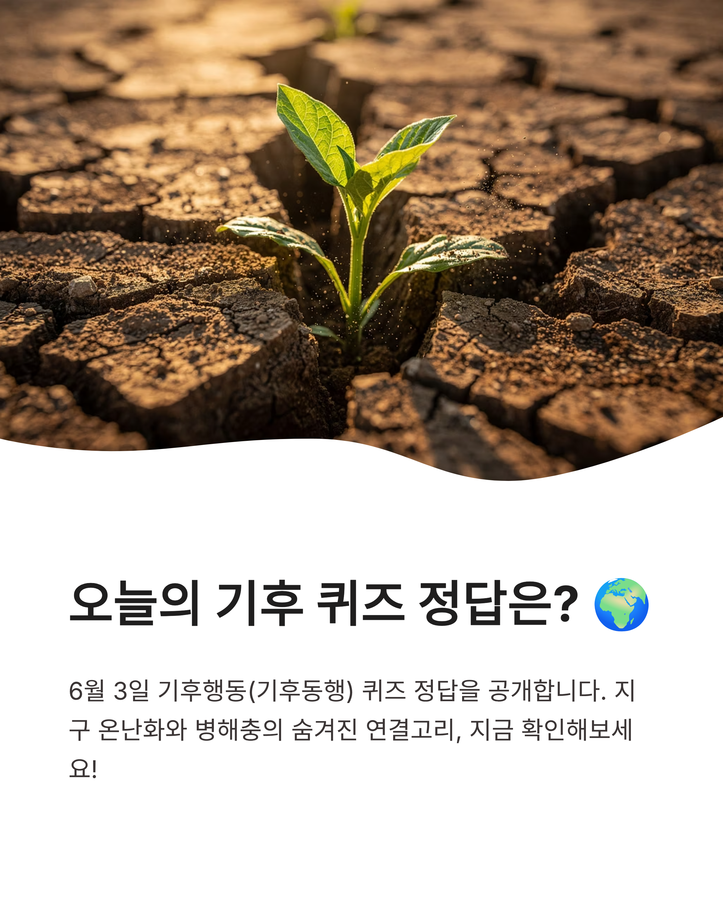 6월 3일 기후행동(기후동행) 퀴즈정답 바로가기, 오늘 문제의 정답은?
