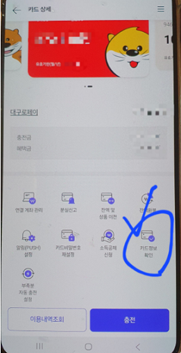 페이사진