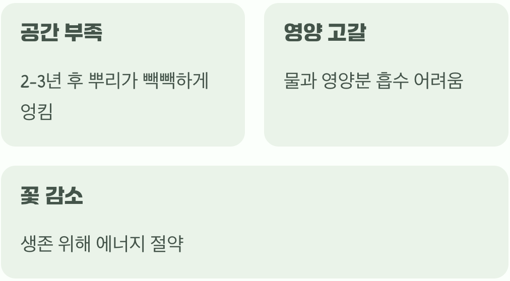 땅속에서 보내는 조용한 SOS