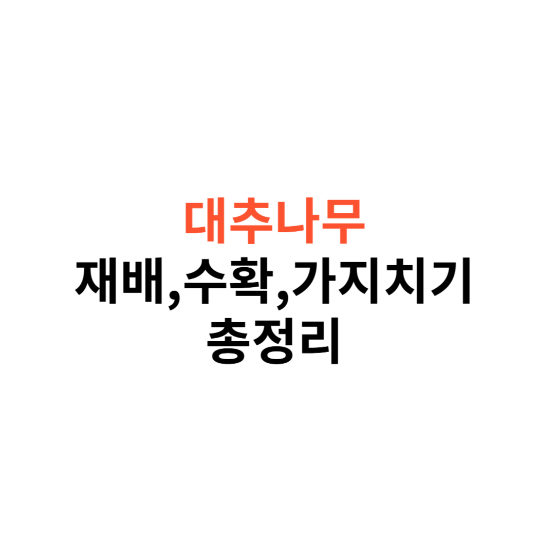 대추나무