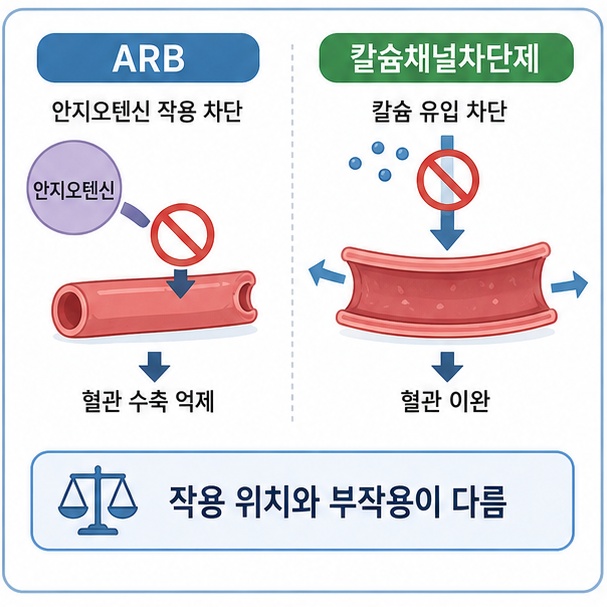 ARB는 안지오텐신 작용을 차단하고 칼슘채널차단제는 혈관을 이완시켜 혈압을 낮추는 차이를 비교한 그림