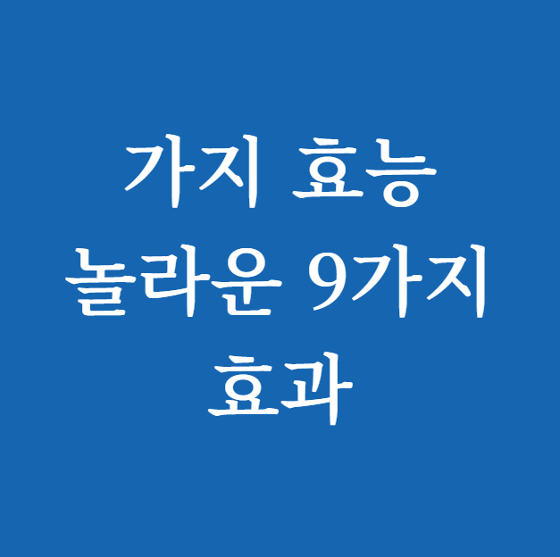 가지 효능 놀라운 9가지 효과 썸네일