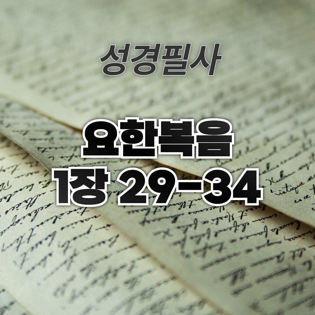 성경 필사 요한 복음 1장 29-34절