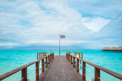 보라보라 신혼여행