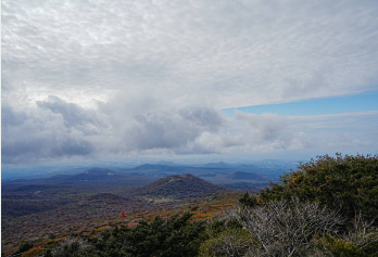 hwpx를 hwp로 변환