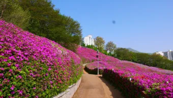 군포 가볼만한곳 베스트10 현지인 추천 필수코스_9