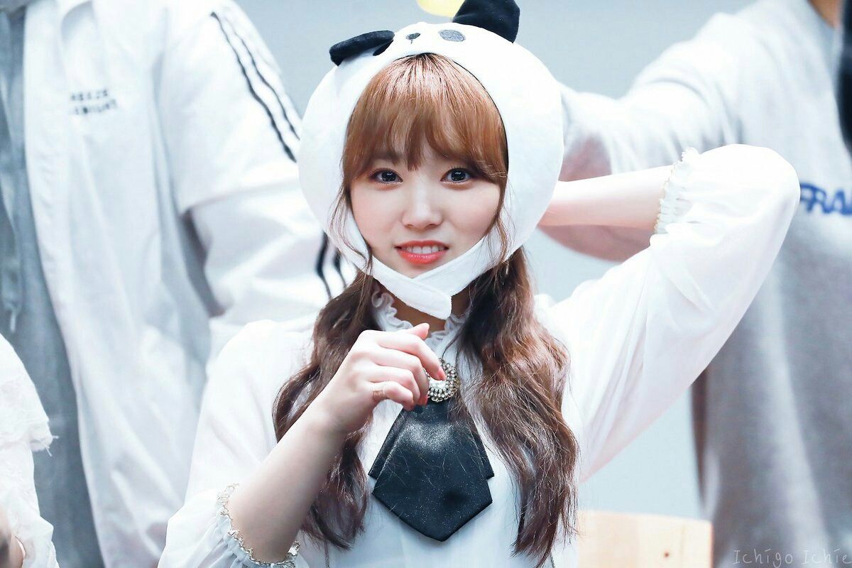 아이즈원 야부키나코 아이즈원 야부키나코