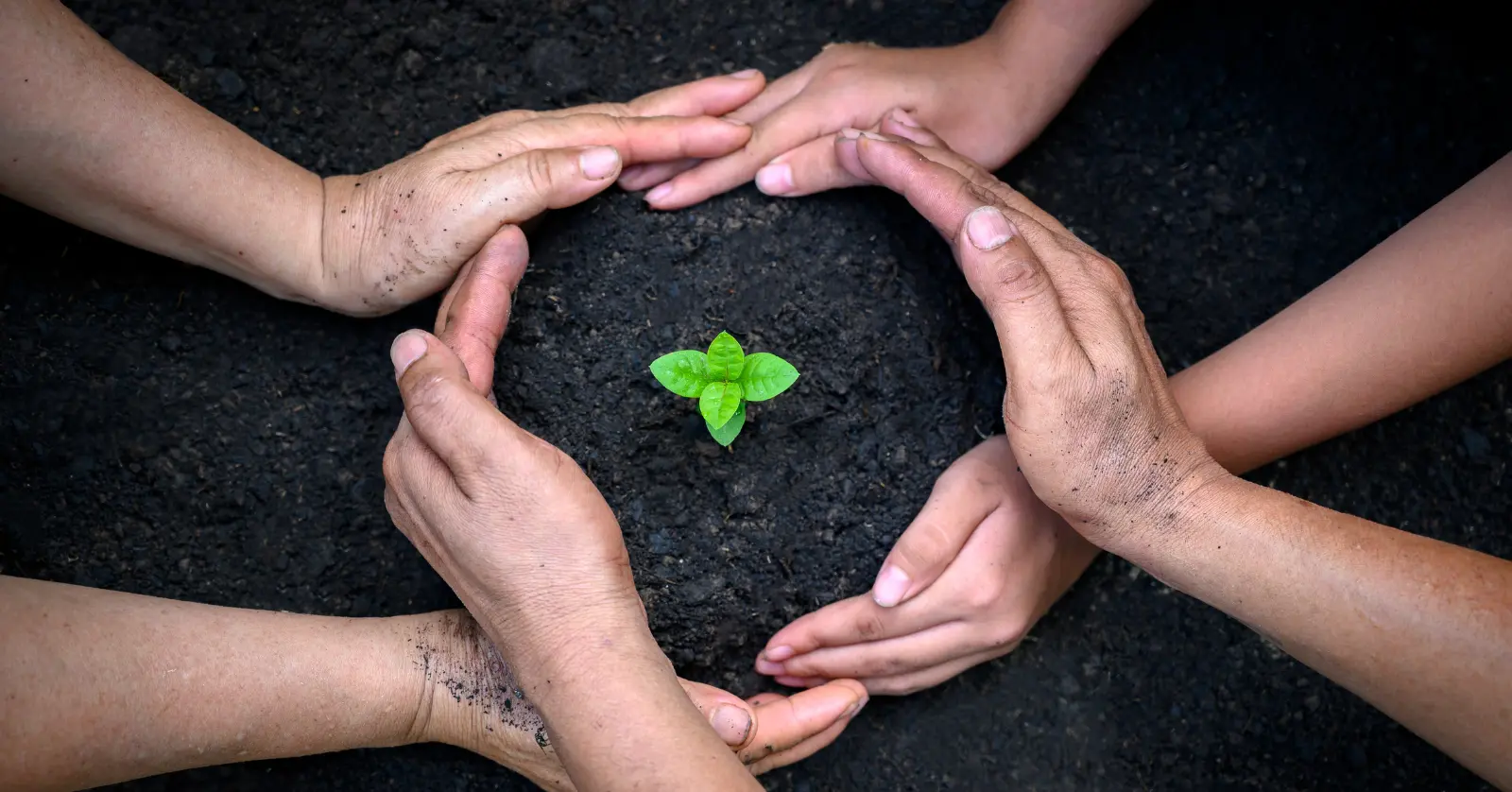 음식물처리기 지원금 지자체별 지원금 규모