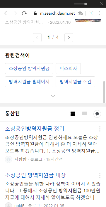 다음 모바일 검색 결과