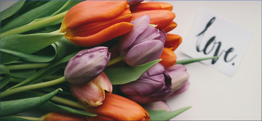 갑자일주 X 기사일주 궁합 완벽 정리