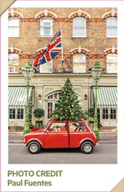 우연히웨스앤더슨2 그라운드시소 센트럴 서울 전시회 10월 11월 12월 1월 2월 3월 4월 티켓 할인 예매