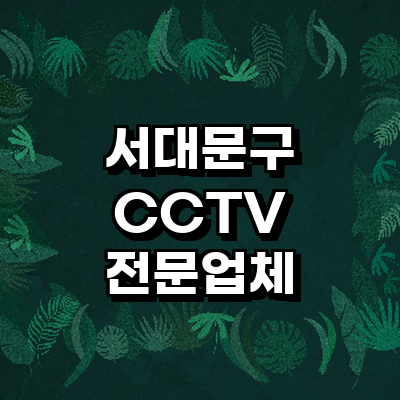 서울 서대문구 cctv