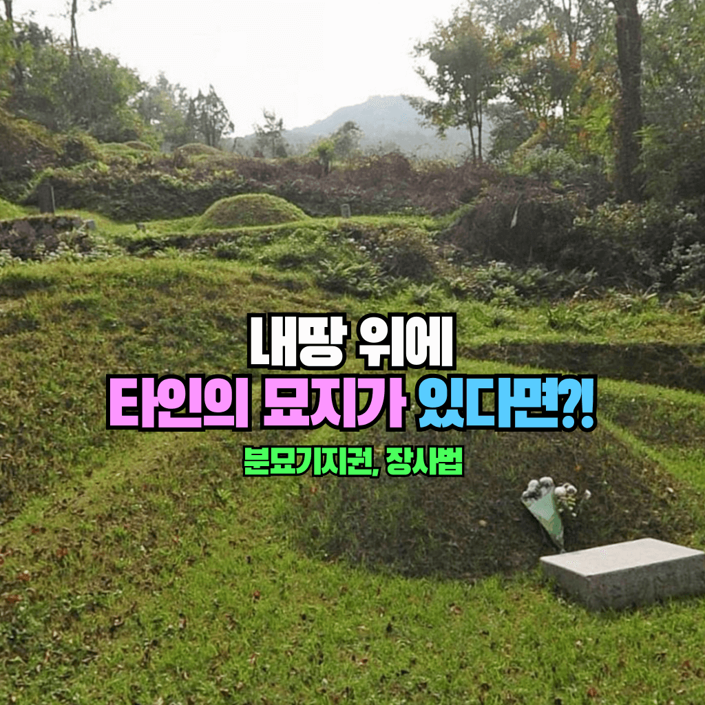 내땅 위에 타인의 묘지가 있다면?!: 분묘기지권과 장사법