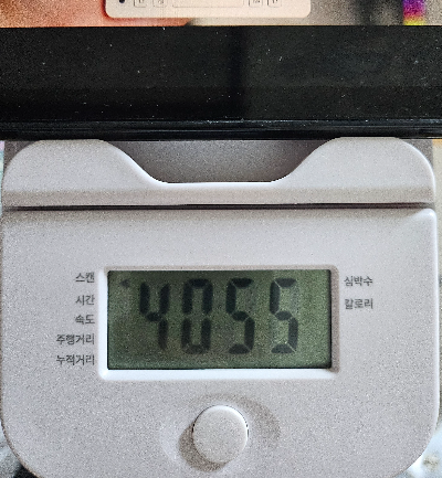 10일 계란 다이어트 후기