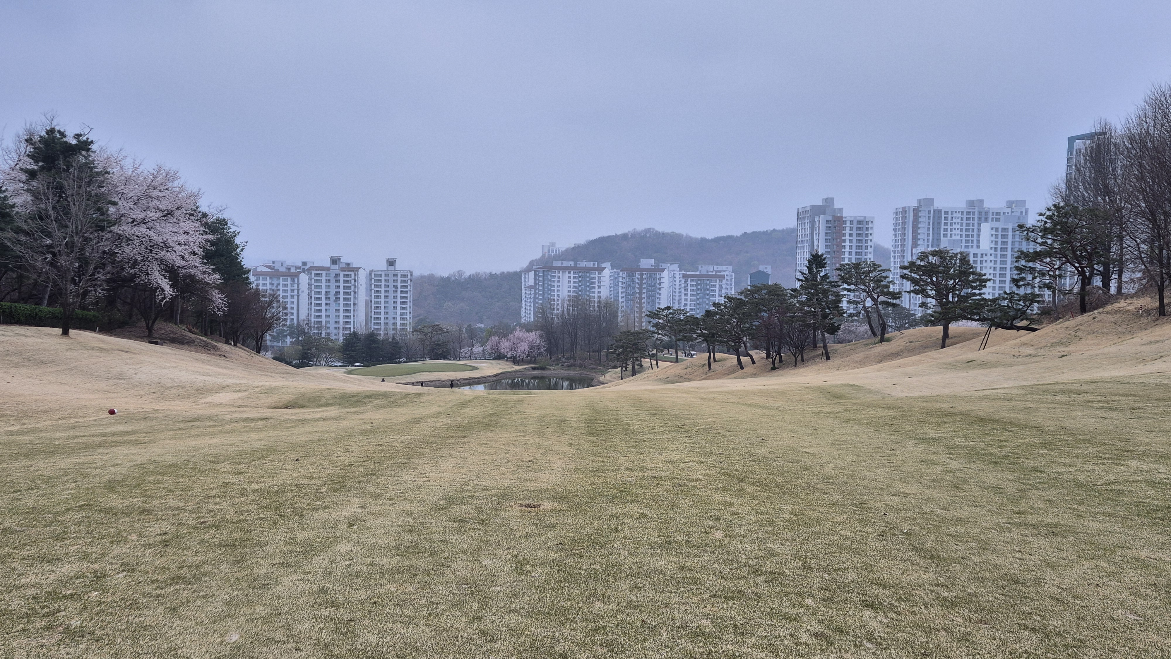 캐슬렉스cc