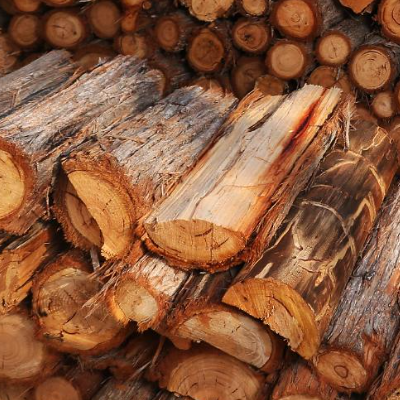 목재 관련주 대장주 테마주 수혜주 TOP5