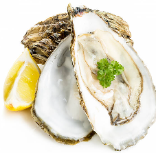 굴 제철, 굴 효능과 굴 요리