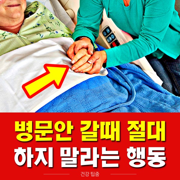 병문안 갈때 선물 꽃 화분 안되요!&#44; 생활 건강 팁줌 매일꿀정보