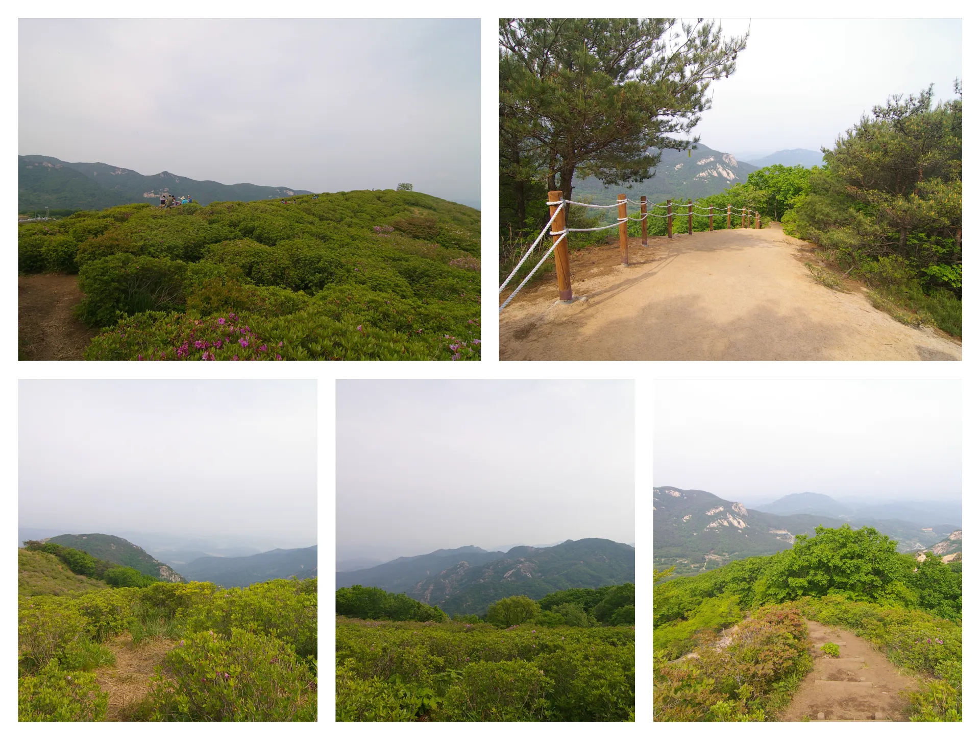 여름 황매산