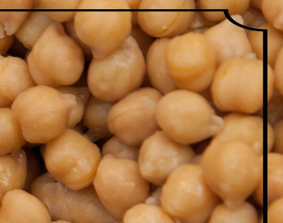 병아리콩 효능 부작용